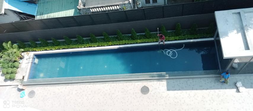 Pool Service